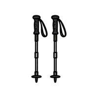 Hiking Poles