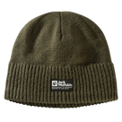 Playn Logo Beanie