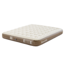 ChenJing 3-Person Airbed with Built-in Pump